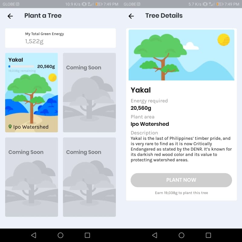 GCash Forest - Plant a Yakal Tree